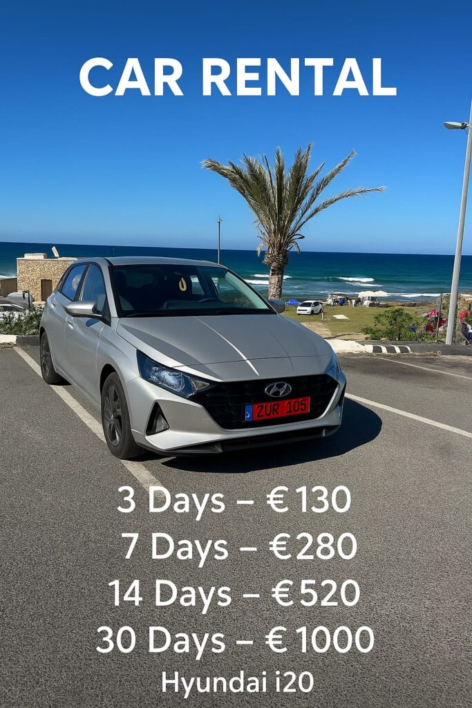 Car Rental